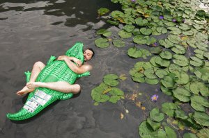 Мимино доставил свой подарок. :)