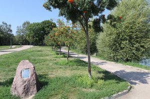 Наталья Гусева. Гостья из другого будущего