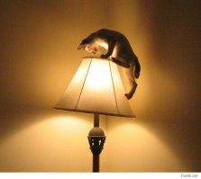 Почти 60 лет она ничего не знала о своем муже