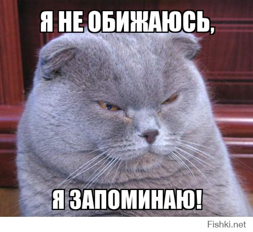 Из солянки от 18.02.2016