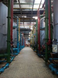 Вот они разноцветные)))