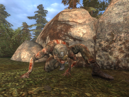 Шутки-шутками, но когда-то давно переиграл в сталкера. После иду по улице, а на меня снорк выпрыгивает! Рука автоматом за дробовиком потянулась) А это малой какой-то, мячик теннисный ловил, который ускакал от него. И прыгал за ним как нежить в той игре). Сейчас уже охладел к играм. Но тот случай запомнился.