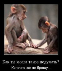 Забавный момент на свадьбе