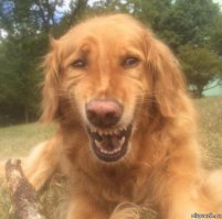 то самое чувство, когда прототип отличается от конвейерного образца