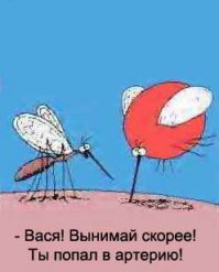 Этим летом прибила комара, которого сгубила собственная жадность. Аж скотина как шарик раздулся, но продолжает жрать.
Хлопнула по нему, вся рука в кровище(((( 
Надо же меру знать!