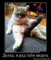 Забавный момент на свадьбе
