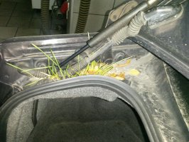 Багажник пророс:)