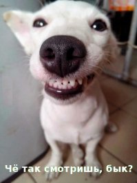 Фотоподборка за 18.02.2016