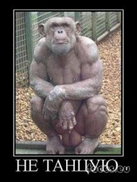 Безумные любители дискотек, которые не могут остановиться 