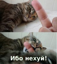 СТОП! Вход ограничен!