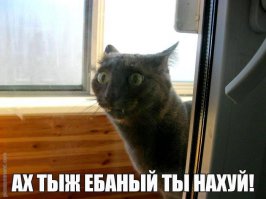 Неудачные фотографии в режиме "панорама"