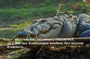 15 занимательных фактов, от которых закипит мозг