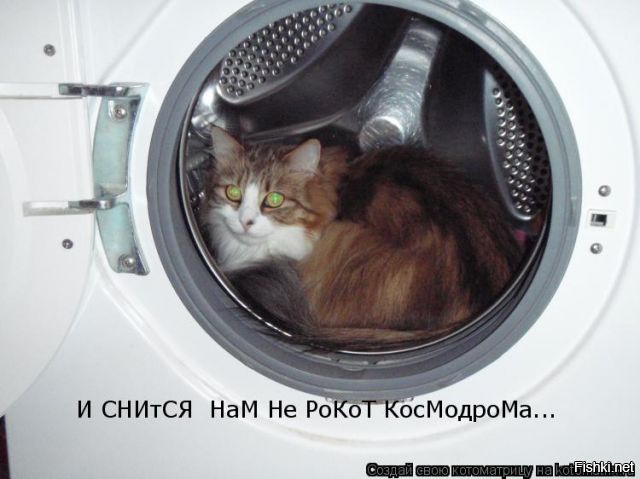 Из солянки от 19.02.2016