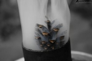 Забавный момент на свадьбе