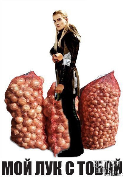 Из солянки от 19.02.2016