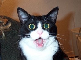 Вот неожиданность: МЕТРО!