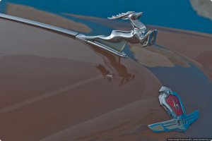 Газ с другого ракурса, а то с первого взгляда не нашел