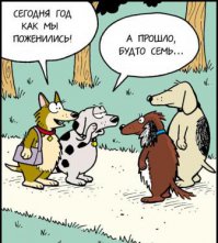 Устройство женского головного мозга