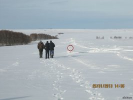 Как одурачить всех или что вы видите в красном круге?