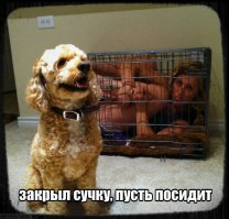 Фотоподборка за 24.10.2013