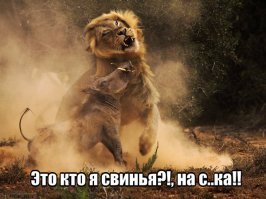 Фотоподборка за 24.10.2013