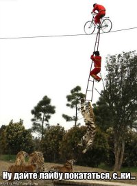 Фотоподборка за 24.10.2013