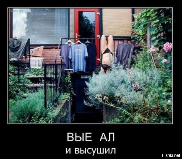 Из солянки от 19.02.2016