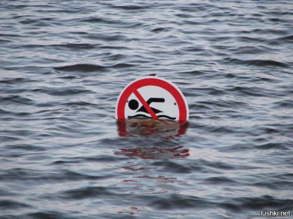 Из солянки от 19.02.2016