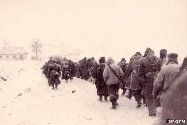 В ночь с 18 на 19 февраля закончилась провалом провокация ВСУ против ДНР. После артподготовки, вперед двинулась 635 аэромобильная бригада при поддержке танков. Благодаря слаженным действиям армии ДНР враг, бросая оружие, технику и раненых отступил на исходные позиции. Со стороны поля слышались стоны брошенных раненых. "Бросили своих, скоты" писали бойцы народной армии. Через несколько минут поле, с умирающими и замерзающими солдатами ВСУ накрыли несколько залпов градов со стороны позиций ВСУ, перемешав с землей своих брошенных убитых и раненых. Этот дикий, воистину бесчеловечный акт был совершен для того, чтобы записать потери в дезертиры и не выплачивать компенсации семьям, сообщил в беседе замкомроты одной из частей ДНР, принявших бой и обративших врага в бегство.
ПС. ужаснах. как вас еще земля носит.