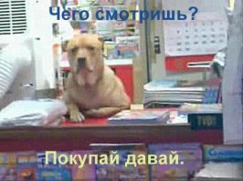 Зато весело...