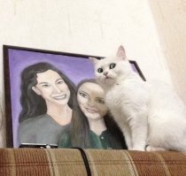 Кошка, которая разбирается в искусстве.