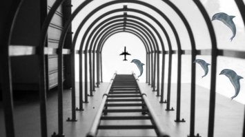  Снимок беременной жены “испортило” одно милое создание