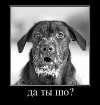 Как положить спички в коробок с помощью магнита?