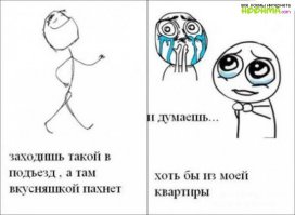 У мангуста на обед была ядовитая змея