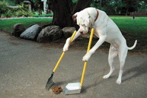 Звонок в МЧС