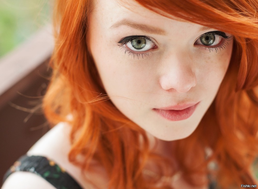 Рыжик обыкновенный