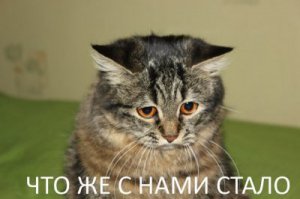 Как подруга отпугнула других девушек от своего парня