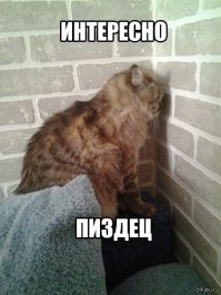 Интересные факты о туалетной бумаге