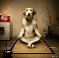 Проблема глубже на самом деле: среди слабого пола очень много неадеквата, ибо женские зависть, жадность, желание доминировать в обществе делают свое дело.
Был такой случай. По работе нужно было сделать некоторые дела в городе Т. Пользуясь общественным транспортом для перемещения по городу, сел в большой муниципальный автобус. Передо мной, на местах для пассажиров с детьми, девушка с коляской и ребенком на руках, напротив девушки сидит ее подруга, с которой они очень мило беседуют. Еду смотрю в окно, и в отражение окна, вижу как только мамочка отвернулась, чтобы развернуть коляску к выходу, ее ванильная подружка начала строить злобные физиономии малышу. Ну думаю, женская дружба она такая, известно давно. Дальше, остановка, мама посадила ребенка на коляску и повезла к выходу, подруга вышла перед ней и взялась принимать коляску спереди. Я отвлекся, и тут слышу грохот коляски и душераздирающий плач ребенка. Е.б.а.н.у.т.а.я подружка типа не удержала коляску и уронила на асфальт!!! Это был п.и.з.д.е.ц! Если бы на коляске не было ремней, которыми мама, не поленилась воспользоваться: малыш полетел бы вниз головой на асфальт.
Женский неадекват - самый жестокий и беспощадный, причем нынешние "болящие бабули" это одуванчики по сравнению с молодым поколением.