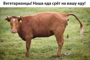 Злобной бомбежки пост или рожающие дома мамы-веганы 2