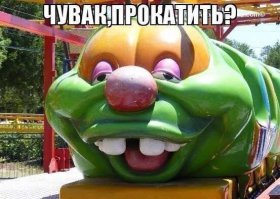 Прикольные картинки. Вечерний выпуск