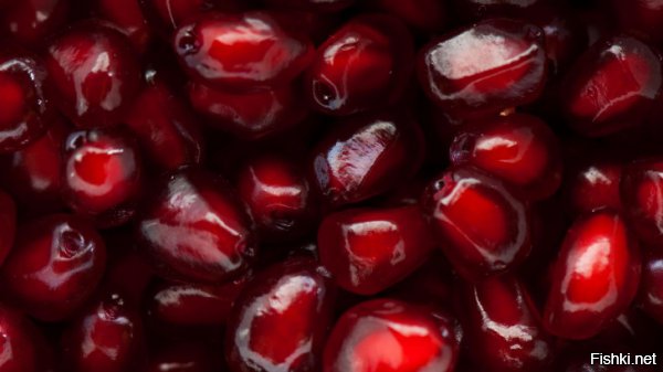 Созрел гранат