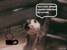 Нынче в моде другой кот.