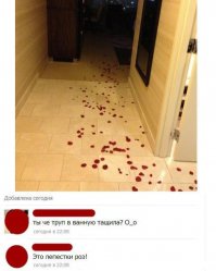 Смешные комментарии из социальных сетей 19.02.16