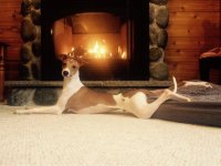 потрясающе!!!!!!!!!