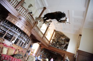 Дом одного из труженников спорта в подмосковье.