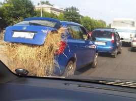 Жрет много)