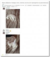 Рука то мужская будит котэ