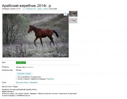 Мерина за 100 тыр???