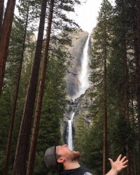 Интересные такие! Один дерево ест, другой водопад пьёт! Дети природы!